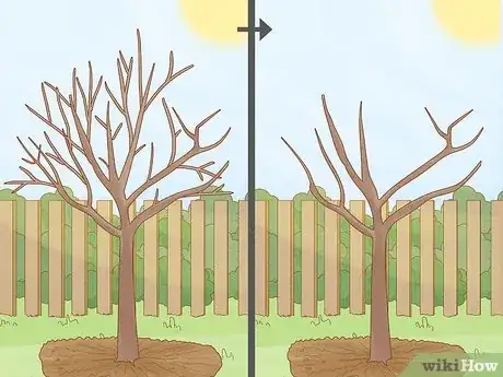 Image intitulée Prune a Fruit Tree Step 12