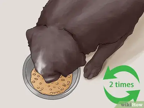 Image intitulée Take Care of Your Dog's Basic Needs Step 8