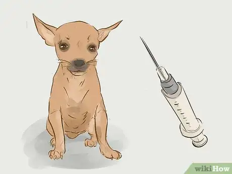 Image intitulée Prevent a Rabies Infection Step 1