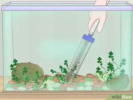Image intitulée Clean a Fish Tank Step 5