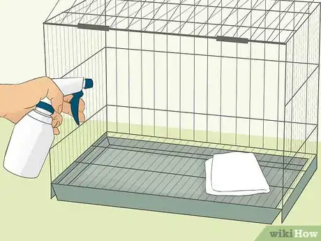 Image intitulée Bathe Your Pet Rabbit Step 14