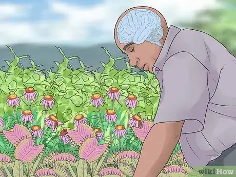 Image intitulée Improve Your Health by Gardening Step 11