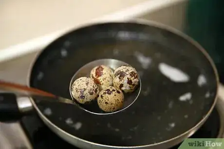 Image intitulée Eat Quail Eggs Step 4