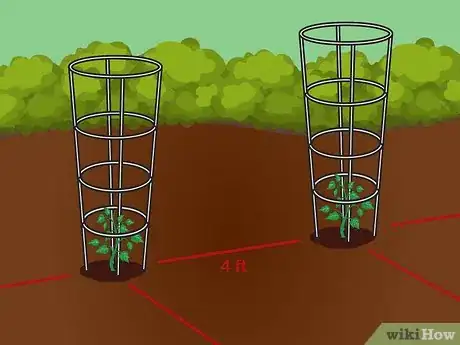 Image intitulée Cage Tomatoes Step 09