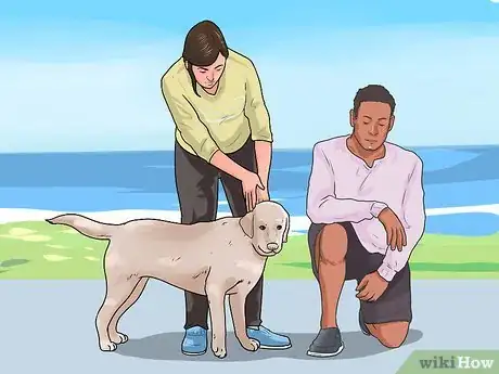 Image intitulée Gain a Dog's Trust Step 6