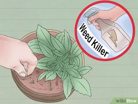 Image intitulée Take Care of Plants Step 7
