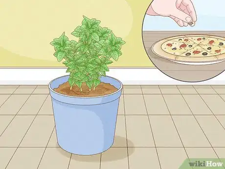 Image intitulée Grow an Herb Garden Indoors Year Round Step 3