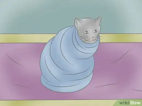 Image intitulée Wrap a Cat Step 11