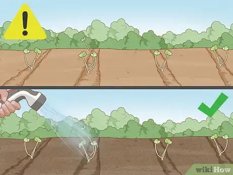 Image intitulée Grow Herbs Step 11