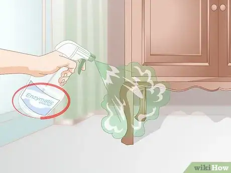 Image intitulée Get Rid of Cat Spray Odor Step 2