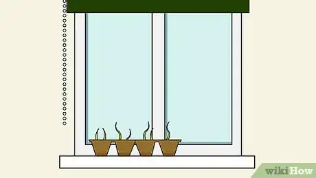 Image intitulée Grow Chili Peppers Indoors Step 6