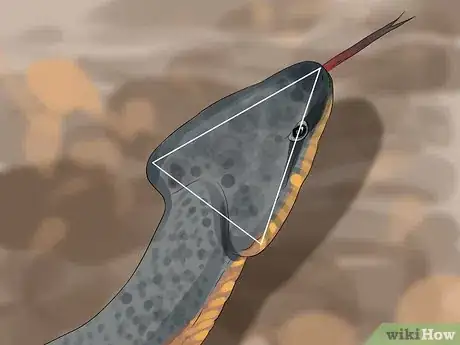 Image intitulée Survive an Encounter With a Snake Step 10