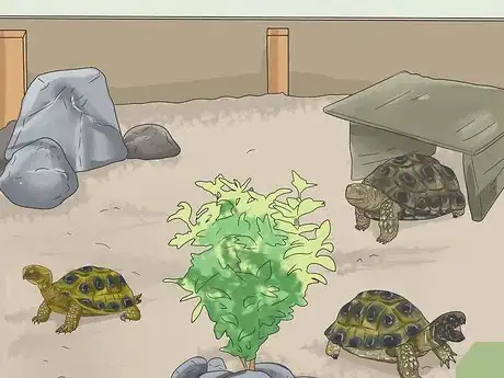 Image intitulée Make A Habitat for Hermann’s Tortoises Step 13