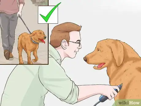 Image intitulée Trim the Coat of a Long Hair Dog Step 5
