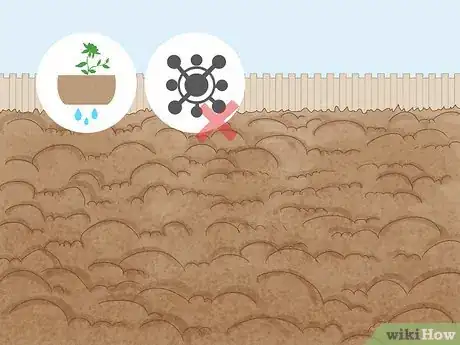 Image intitulée Grow Raspberries Step 8