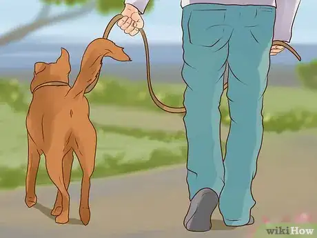 Image intitulée Stop Aggressive Behavior in Dogs Step 10