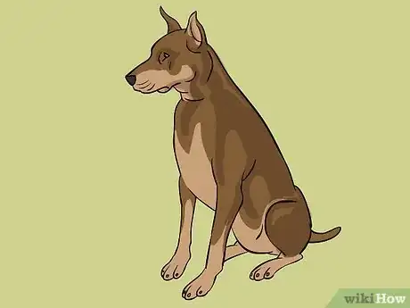 Image intitulée Draw a Dog Step 36