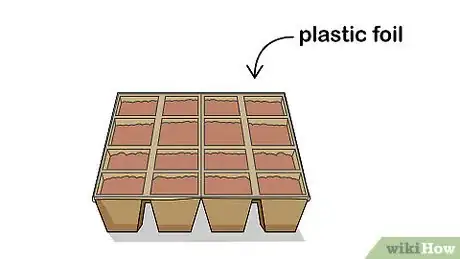 Image intitulée Grow Chili Peppers Indoors Step 4