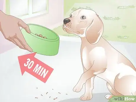 Image intitulée Feed a Dog Step 10