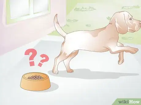 Image intitulée Feed a Dog Step 16