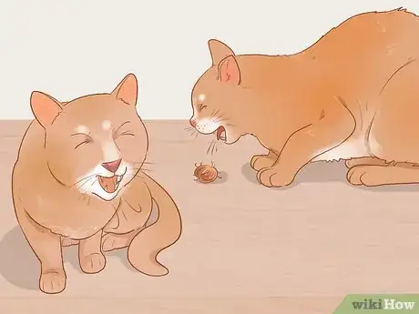 Image intitulée Know if Your Cat Is Sick Step 17