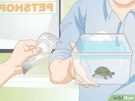 Image intitulée Keep a Turtle Healthy Step 9