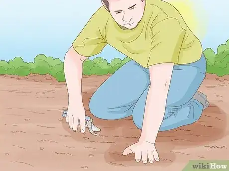 Image intitulée Remove an Ivy Plant Step 6
