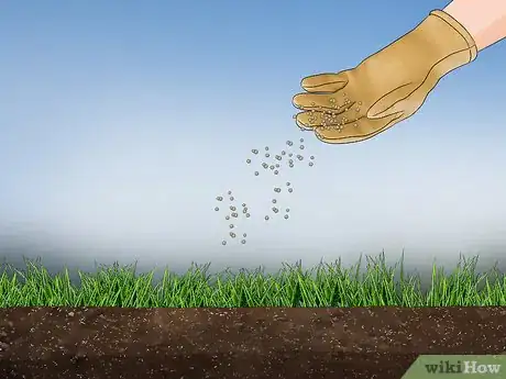 Image intitulée Grow Grass from Seeds Step 13