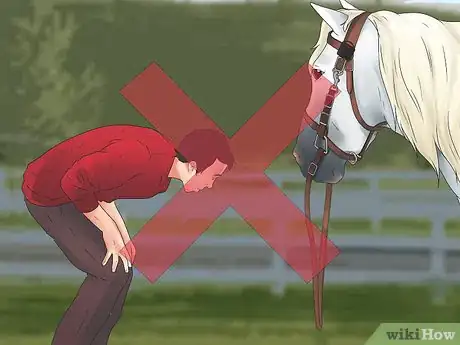 Image intitulée Be Safe Around Horses Step 15