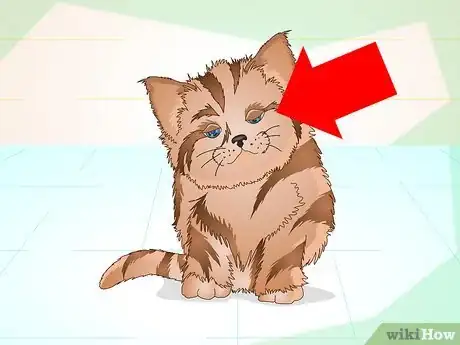 Image intitulée Get a Sick Kitten to Eat Step 13