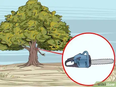 Image intitulée Trim Oak Trees Step 6
