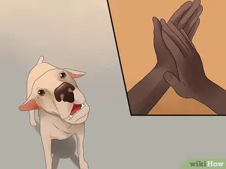 Image intitulée Tell if Your Dog Is Deaf Step 6