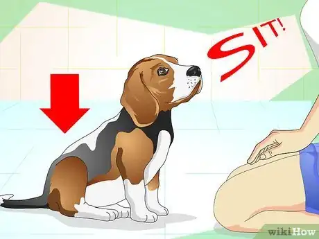 Image intitulée Keep Your Dog Calm Outside His Crate Step 13