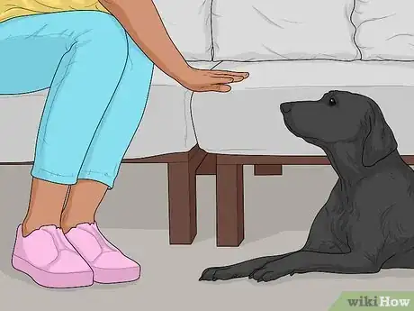 Image intitulée Get Dog Hair off Furniture Step 10