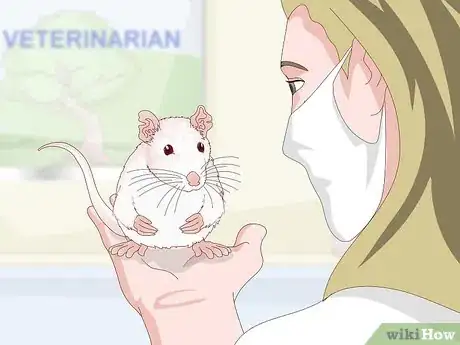 Image intitulée Treat Respiratory Disease in Rats Step 9