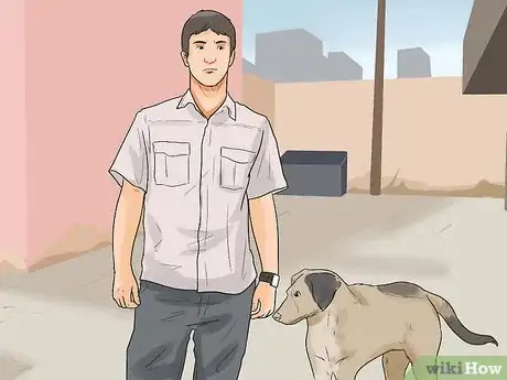 Image intitulée Catch a Stray Dog Step 1