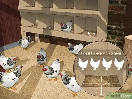 Image intitulée Keep Chickens from Eating Their Own Eggs Step 1