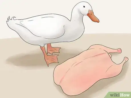 Image intitulée Breed Ducks Step 3