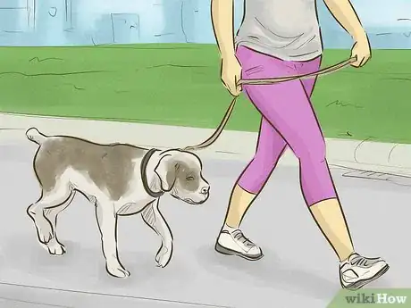 Image intitulée Keep Your Dog Happy Step 4