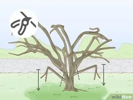 Image intitulée Prune a Crabapple Tree Step 7