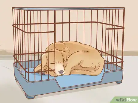 Image intitulée Care for Dogs Step 15