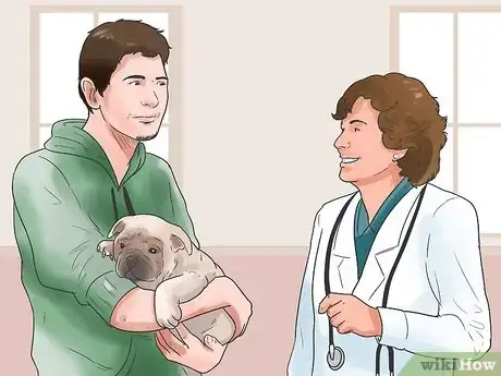 Image intitulée Help a Dog Who Has Canine Epilepsy Step 5
