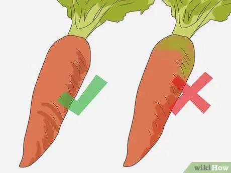 Image intitulée Select Carrots Step 2