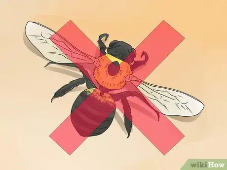 Image intitulée Kill a Wasp Step 1
