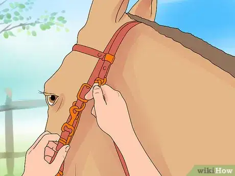 Image intitulée Bridle a Horse Step 9