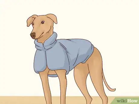Image intitulée Keep Dogs Warm in the Winter Step 22