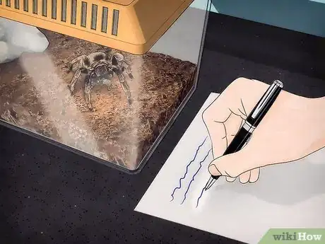 Image intitulée Keep Spiders As Pets Step 11