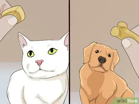 Image intitulée Introduce a Cat to a Dog Step 11