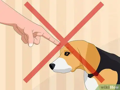 Image intitulée Help a Dog with Separation Anxiety Step 11