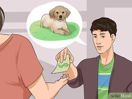 Image intitulée Buy a Labrador Retriever Puppy Step 13